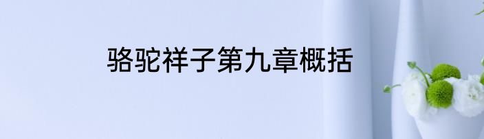 骆驼祥子第九章概括