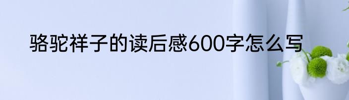 骆驼祥子的读后感600字怎么写