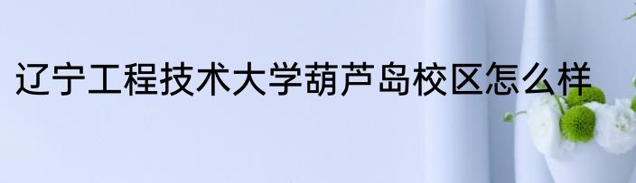 辽宁工程技术大学葫芦岛校区怎么样