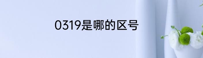 0319是哪的区号