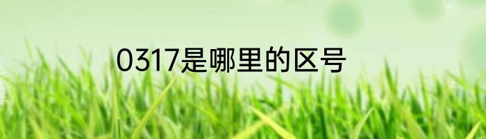 0317是哪里的区号