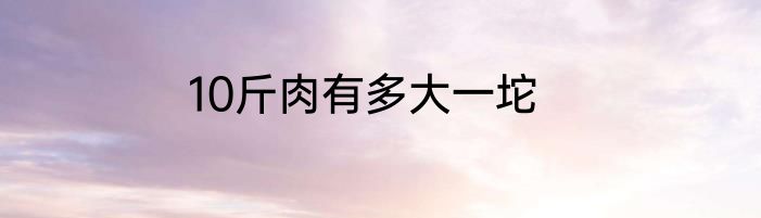 10斤肉有多大一坨