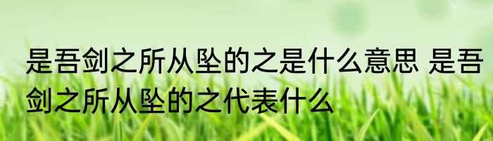 是吾剑之所从坠的之是什么意思 是吾剑之所从坠的之代表什么