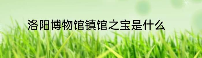 洛阳博物馆镇馆之宝是什么
