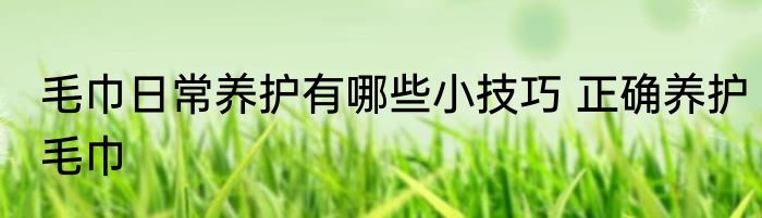 毛巾日常养护有哪些小技巧 正确养护毛巾