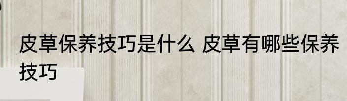 皮草保养技巧是什么 皮草有哪些保养技巧