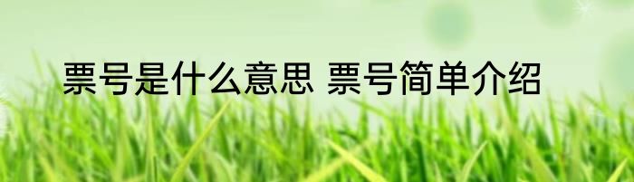 票号是什么意思 票号简单介绍