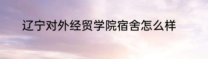 辽宁对外经贸学院宿舍怎么样