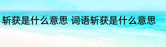 斩获是什么意思 词语斩获是什么意思