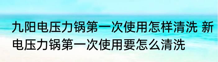 九阳电压力锅第一次使用怎样清洗 新电压力锅第一次使用要怎么清洗