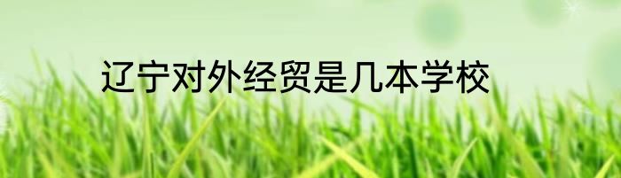 辽宁对外经贸是几本学校