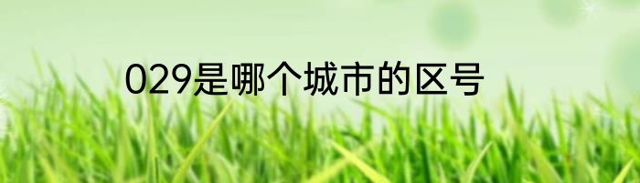 029是哪个城市的区号