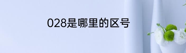 028是哪里的区号