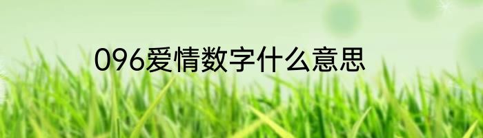 096爱情数字什么意思