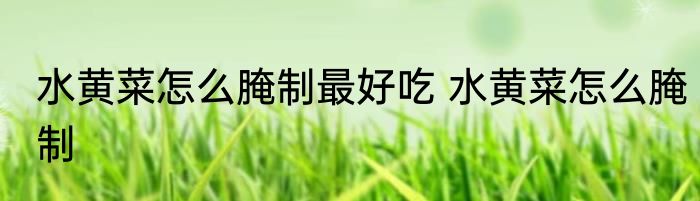 水黄菜怎么腌制最好吃 水黄菜怎么腌制
