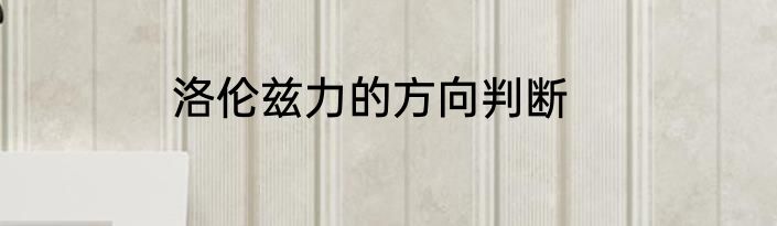 洛伦兹力的方向判断