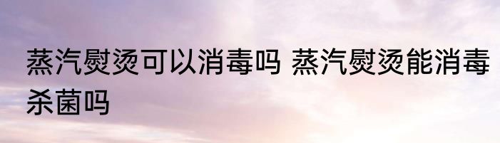 蒸汽熨烫可以消毒吗 蒸汽熨烫能消毒杀菌吗
