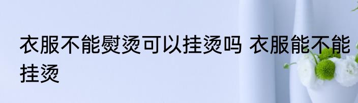 衣服不能熨烫可以挂烫吗 衣服能不能挂烫