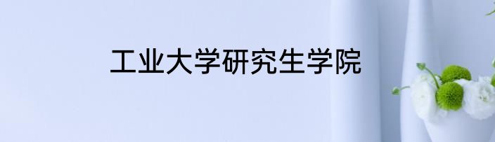 工业大学研究生学院