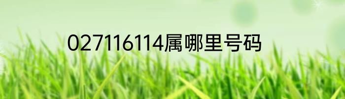 027116114属哪里号码