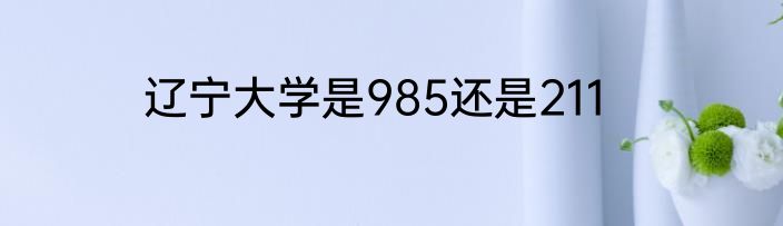 辽宁大学是985还是211