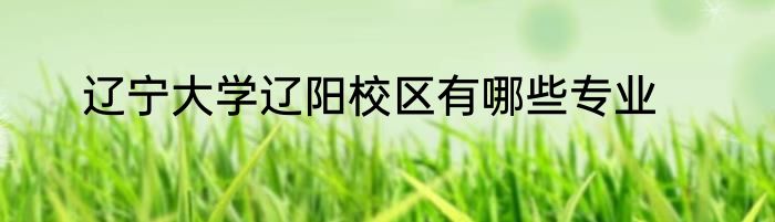 辽宁大学辽阳校区有哪些专业