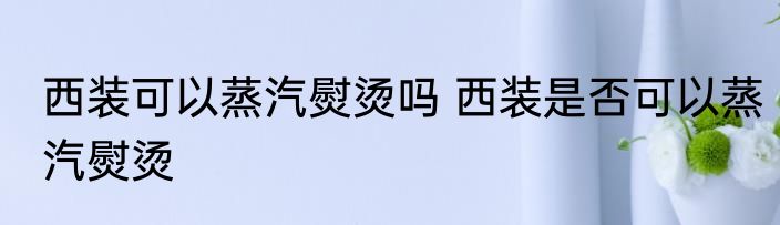 西装可以蒸汽熨烫吗 西装是否可以蒸汽熨烫