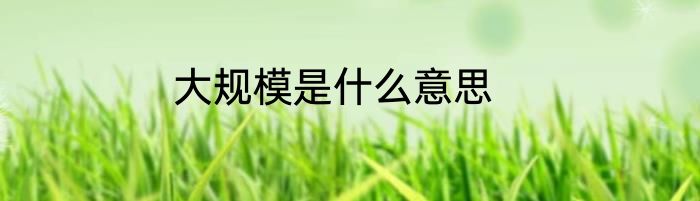 大规模是什么意思