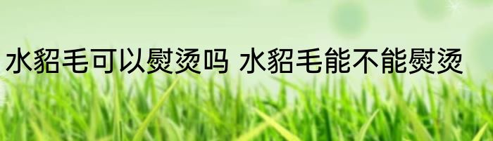 水貂毛可以熨烫吗 水貂毛能不能熨烫