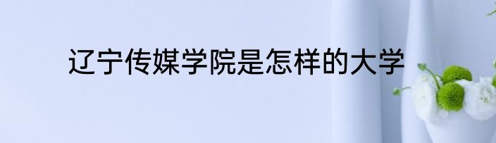 辽宁传媒学院是怎样的大学