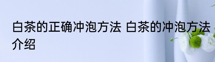 白茶的正确冲泡方法 白茶的冲泡方法介绍