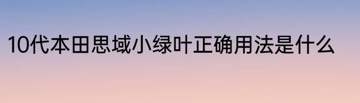 10代本田思域小绿叶正确用法是什么