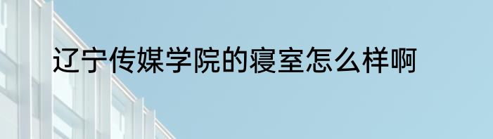 辽宁传媒学院的寝室怎么样啊