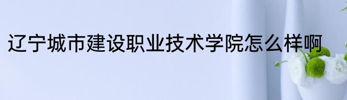 辽宁城市建设职业技术学院怎么样啊
