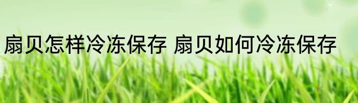 扇贝怎样冷冻保存 扇贝如何冷冻保存