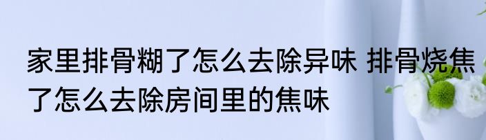家里排骨糊了怎么去除异味 排骨烧焦了怎么去除房间里的焦味