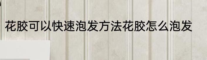 花胶可以快速泡发方法花胶怎么泡发