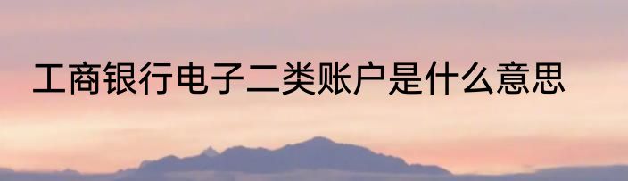 工商银行电子二类账户是什么意思