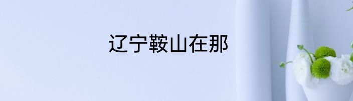 辽宁鞍山在那
