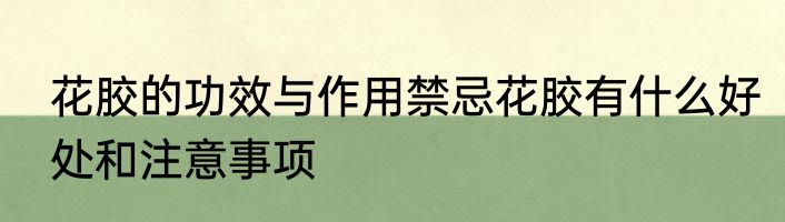 花胶的功效与作用禁忌花胶有什么好处和注意事项