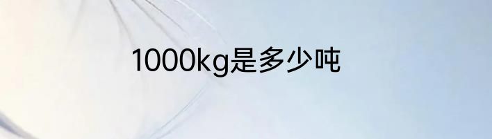1000kg是多少吨