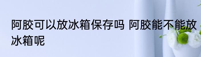 阿胶可以放冰箱保存吗 阿胶能不能放冰箱呢