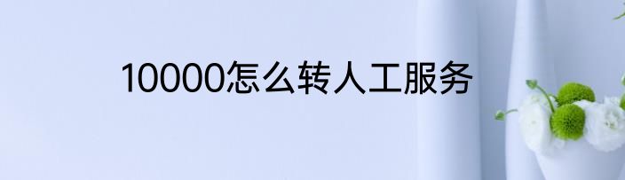 10000怎么转人工服务