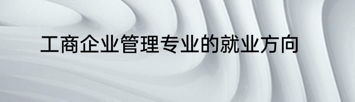 工商企业管理专业的就业方向