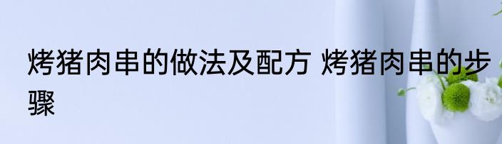 烤猪肉串的做法及配方 烤猪肉串的步骤