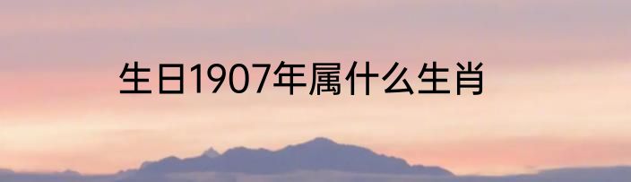 生日1907年属什么生肖