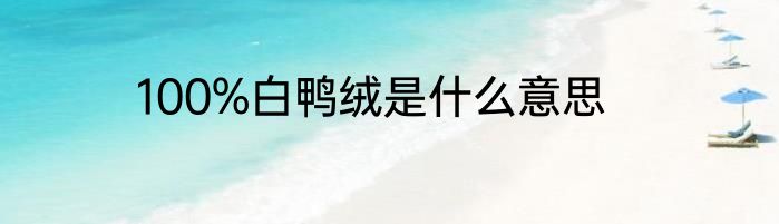 100%白鸭绒是什么意思