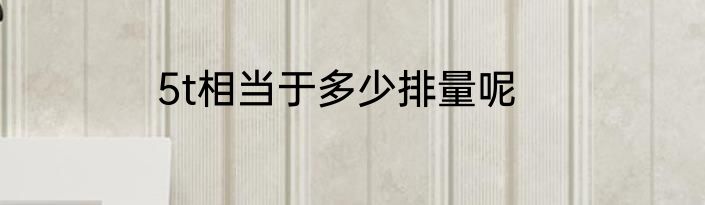 5t相当于多少排量呢