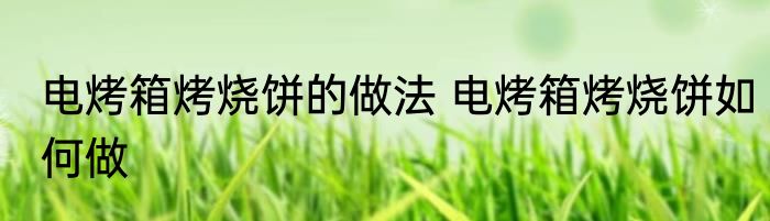 电烤箱烤烧饼的做法 电烤箱烤烧饼如何做