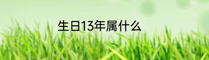 生日13年属什么